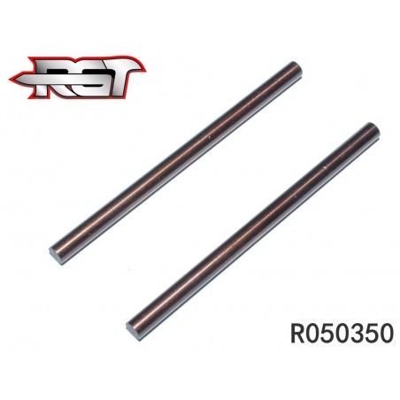 R050350 - Rear arm pivot pin 3x50 mm - 2 uds.