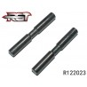 R122023 - Front pivot pin for C-hub 3x23 mm - 2 ud