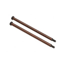 HB204028 - Hinge Pin Inner D817/E817 x2 uds.