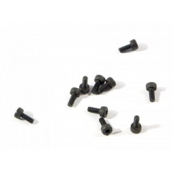 Z234 - Cap Head Screw M2x5 mm - 10 uds.