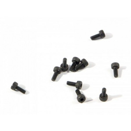 Z234 - Cap Head Screw M2x5 mm - 10 uds.