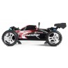 Buggy WL Toys A959 1/18 - RTR (RED)