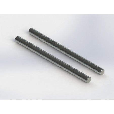 TD330640 - Lowe Hinge Pin 4x65 mm x2 uds.