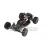 ISHIMA Ultrex Electric Offroad 2WD Buggy 1/10 RTR