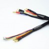 Cable de carga 2x2S 60 cm con conectores 4 y 5 mm