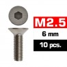 M2,5X6 mm Flat Head Screws x10 pcs