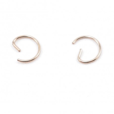 Piston Pin clips Ninja B01A engine