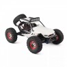 Desert Rally WL TOYS 1/12 4WD RC Off-Road RTR - White
