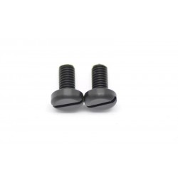 Tornillos nylon M6x12mm x2 uds.