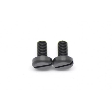 Screw M6x12 nylon black x2 pcs