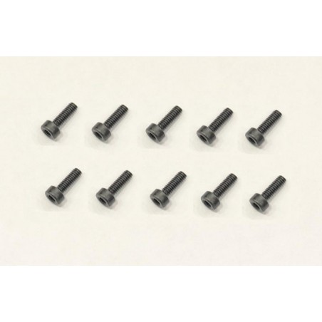 Allen screw cilinder head M2x6 x10 pcs