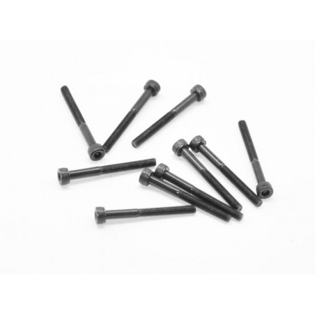 Allen screw cilinder head M3x30 x10 pcs