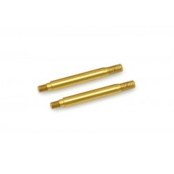Shock RCM shaft short tin coated x2 pcs