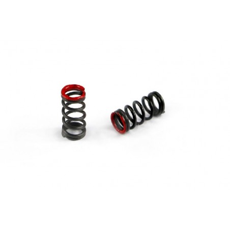 Spring Red C6.3 4X x2 pcs