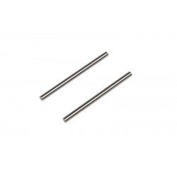 Hinge Pin x2 pcs