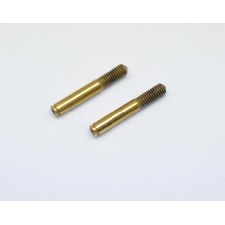 Kingpin TIN coated x2 pcs