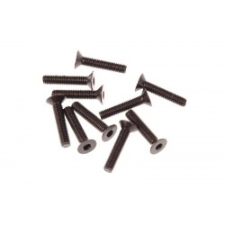 Tornillo CSH M3x15mm x10 uds.