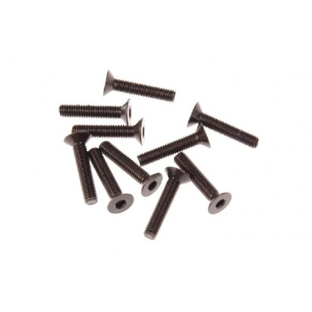 Screw CSH M3x15mm x10 pcs