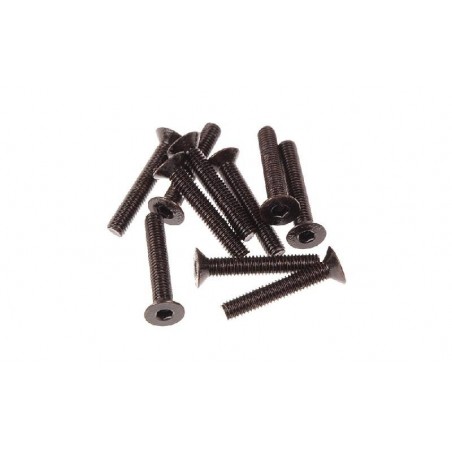 Screw CSH M3x18mm x10 pcs