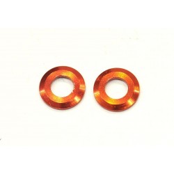 Arandela Pivotball Serpent S100 / S120 x2 uds.