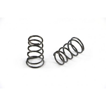 Side spring 6,5 lbs x2 pcs