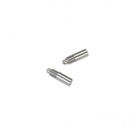 Tornillo especial soporte rodamiento lateral F110 SF4 x2 uds.
