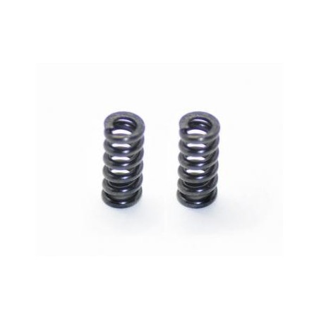 Muelle slipper SRX2 x2 uds.