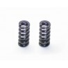 Slipper spring SRX2 x2 pcs