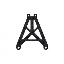 Placa sujeccion bateria Carbono SRX2 Gen3