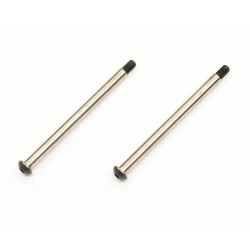 Hinge Pin Rear Outer x2 pcs