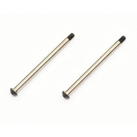 Hinge Pin Rear Outer x2 pcs