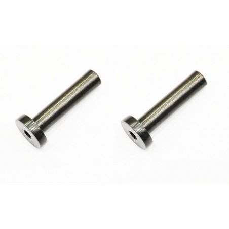 Tornillo brazo transmision trasero x2 uds.