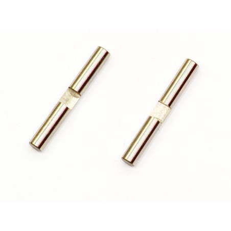 Pin diferencial 10T x2 uds.