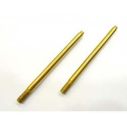 Shock absorber shaft Rear with TiN coated x2 pcs