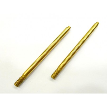 Shock absorber shaft Rear with TiN coated x2 pcs