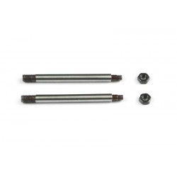 Shock absorber shaft 811 GT x2 pcs