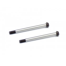 Hingepin FR outer SRX8 x2 pcs