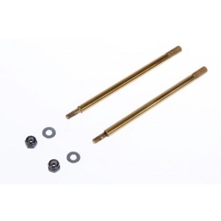 Shock absorber shaft Front TiN coated SRX8 x2 pcs
