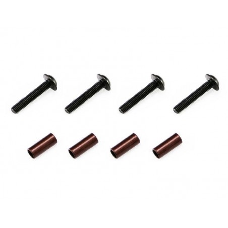 Brake plate mount set 811 GT 3.1 x4 pcs