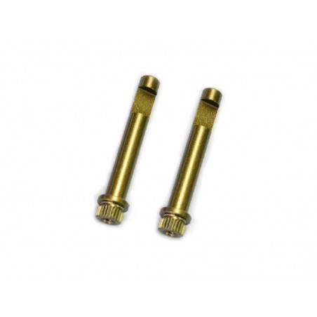 Brake excenter SRX8 GT x2 pcs