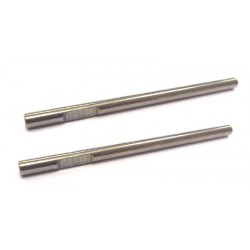 Pivot Pin Rear Lower x2 pcs