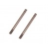 Piston rod RCC Long x2 pcs