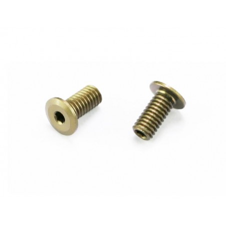 Downstop screw Front S988 x2 pcs