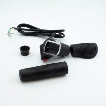 Throttle set electric scooter DS09 60V 2000W