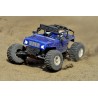 Team Corally Dessert Buggy Moxoo SP 1/10 2WD Brushed