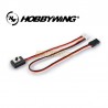 Hobbywing 1/10 Scale Ezrun Switch Type C