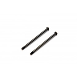 230061 Screw M3x50mm x2 pcs