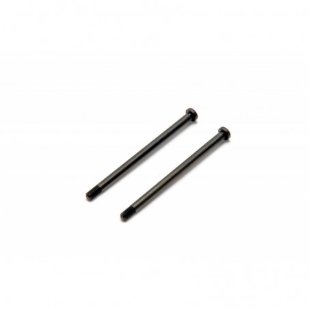 230061 Screw M3x50mm x2 pcs