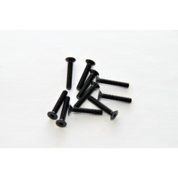 31318 - Tornillos allen avellanados 3x18 mm x10 uds.