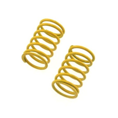 22027 Front shock spring HoBao x2 pcs